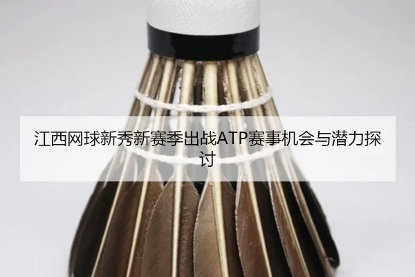 江西网球新秀新赛季出战ATP赛事机会与潜力探讨